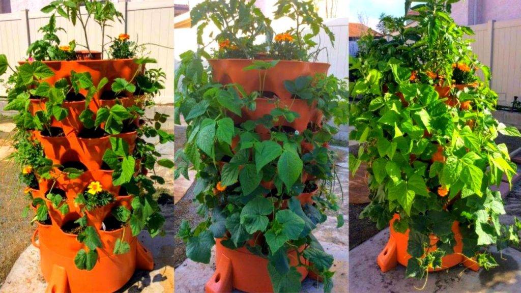 Incredible Tower Garden Ideas