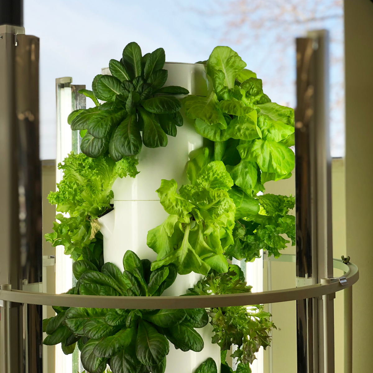 Tower Garden