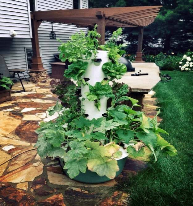 Garden Tower Organic Container Gardening