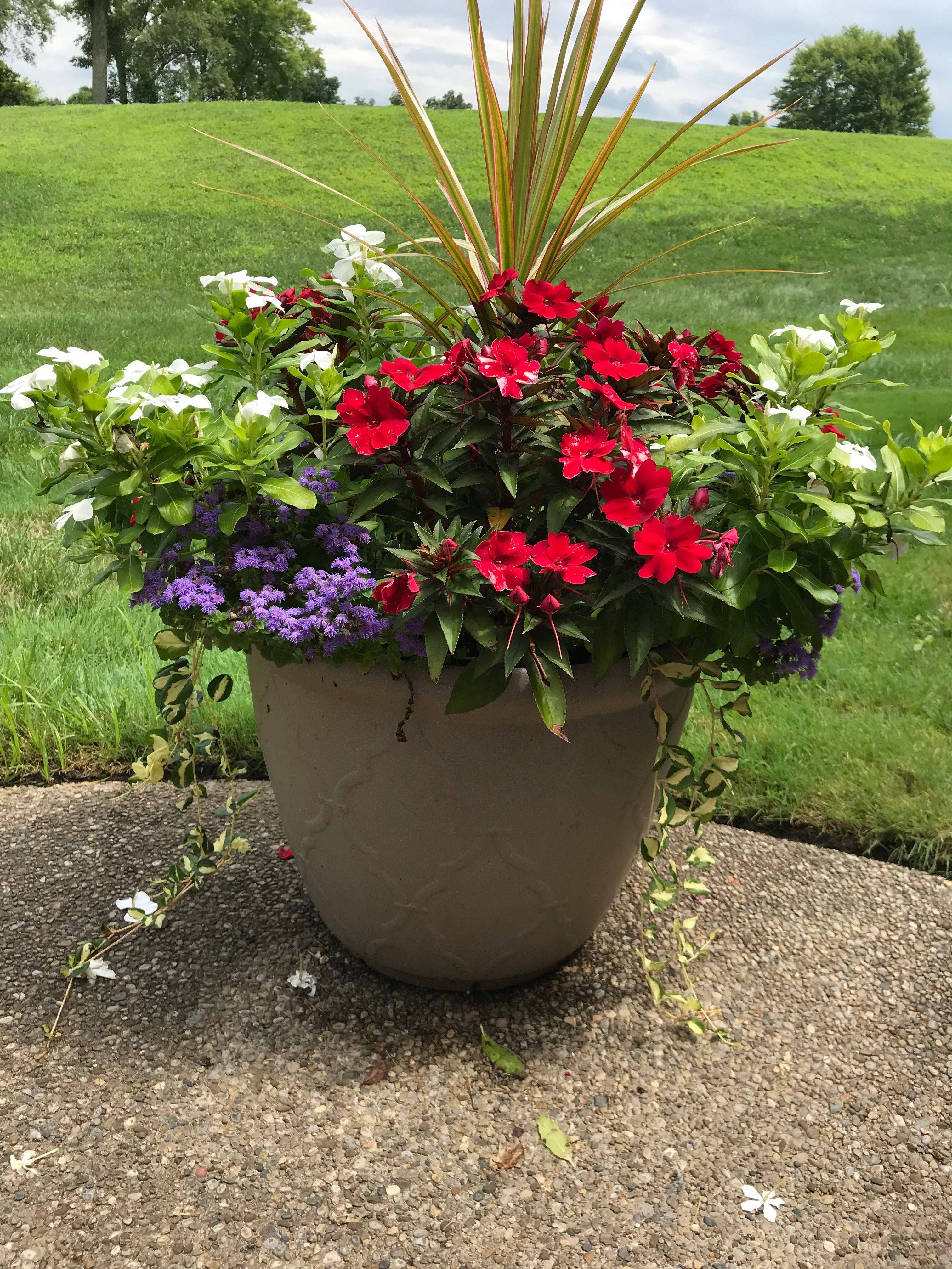 Fresh And Beautiful Container Garden Flowers Ideas