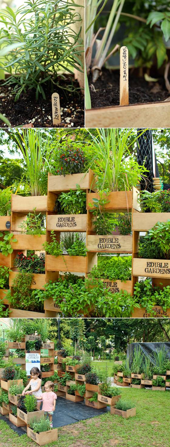 Your Own Kitchen Garden