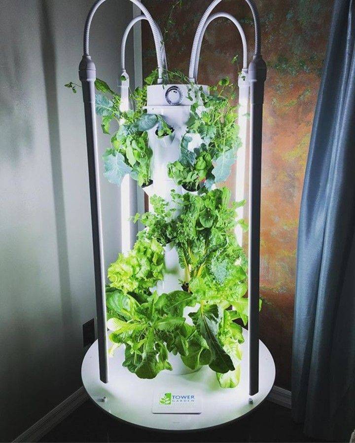 21 Indoor Tower Garden Ideas Worth a Look | SharonSable