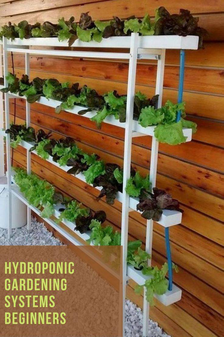 25 Hydroponic Gardening Systems Beginners Ideas To Consider Sharonsable