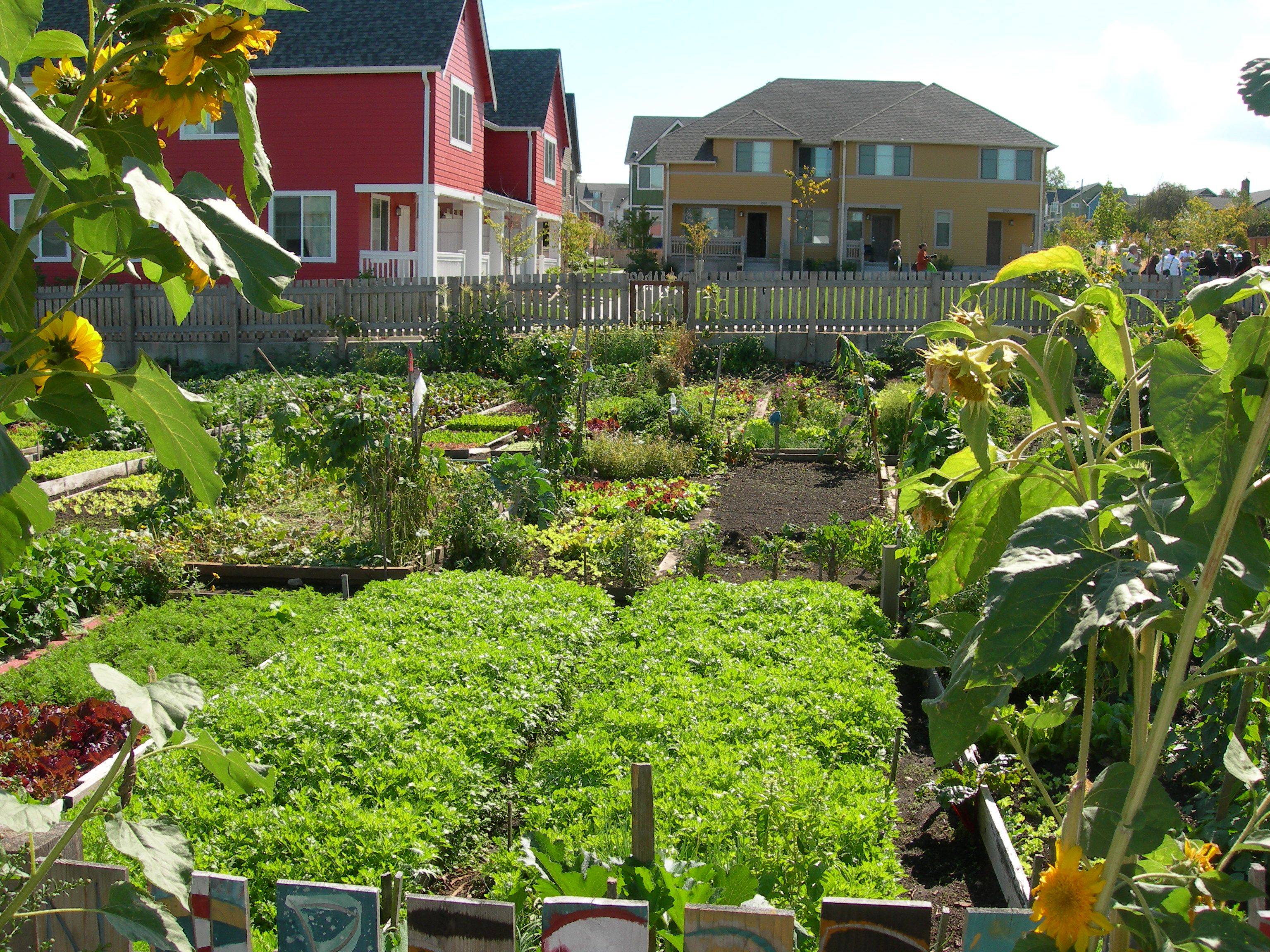 Garden Plot Ideas