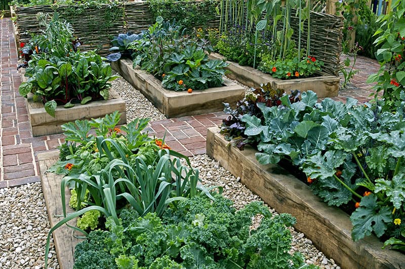 Community Vegetable Projects