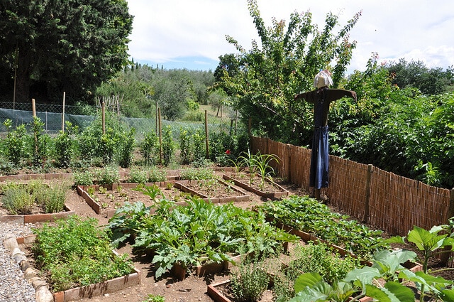 Permaculture Garden Greenmylife