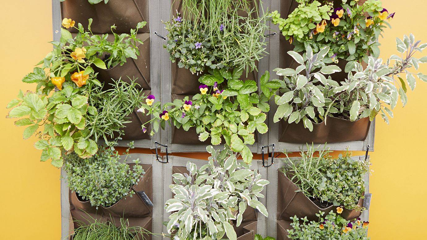 19 Vertical Gardening Wall Ideas To Consider SharonSable