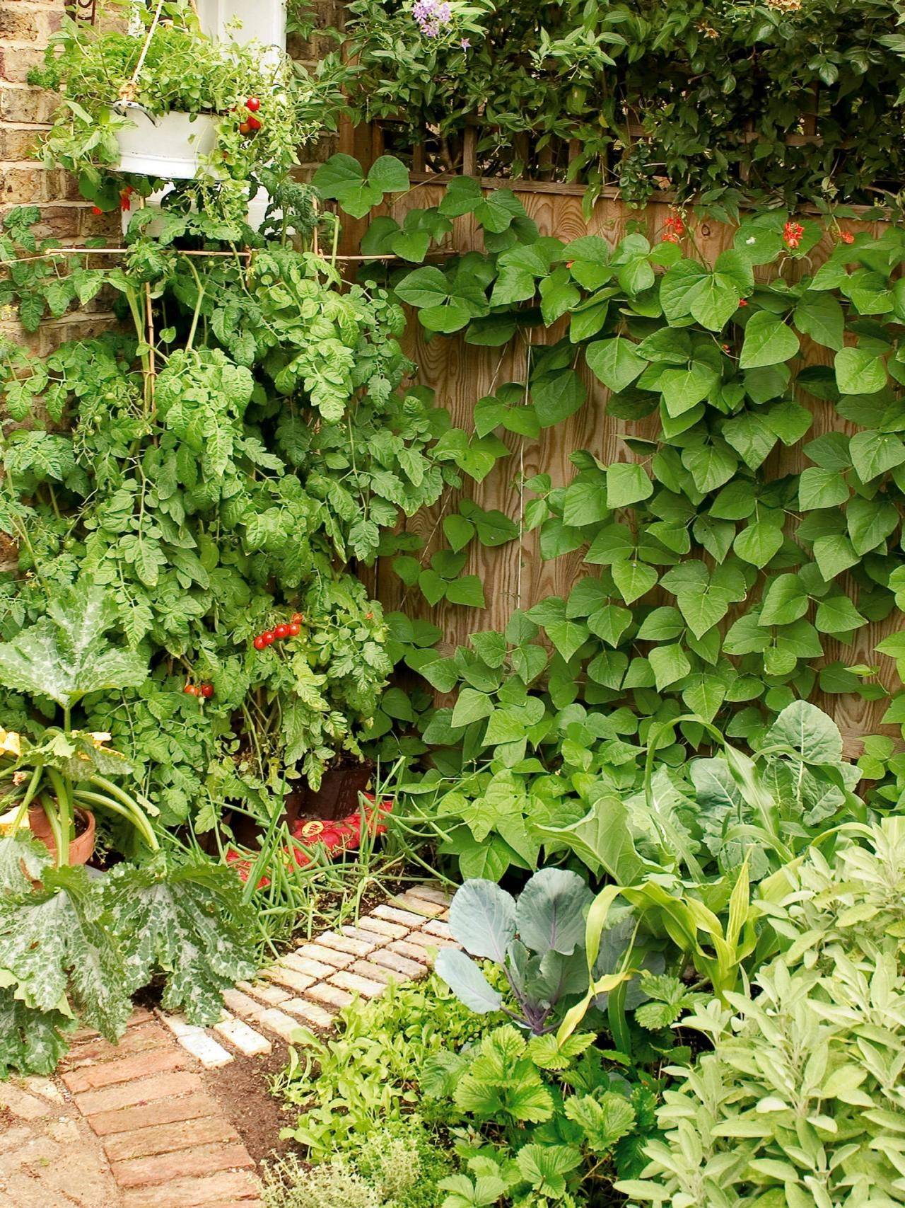 Great Front Yard Vegetable Garden Ideas