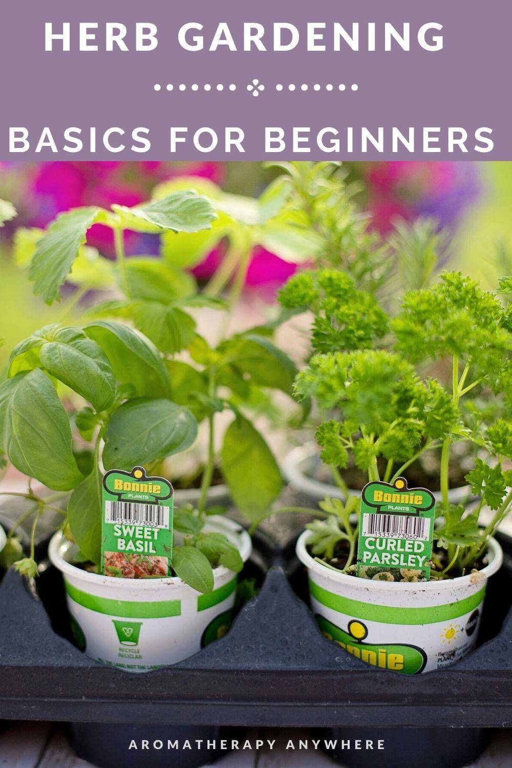 20-garden-basics-for-beginners-ideas-you-must-look-sharonsable