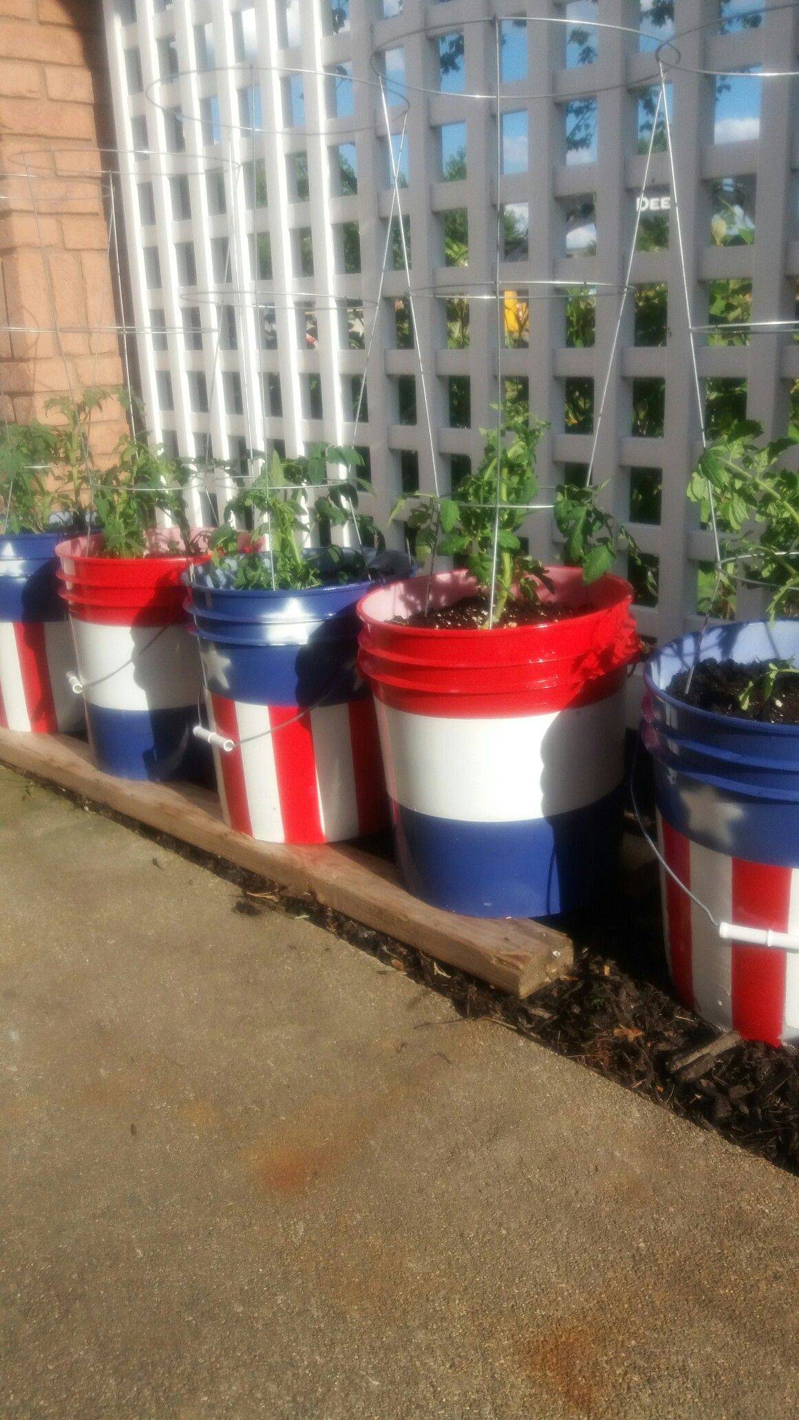 Gallon Bucket Container Gardening Ideas You Should Check Sharonsable