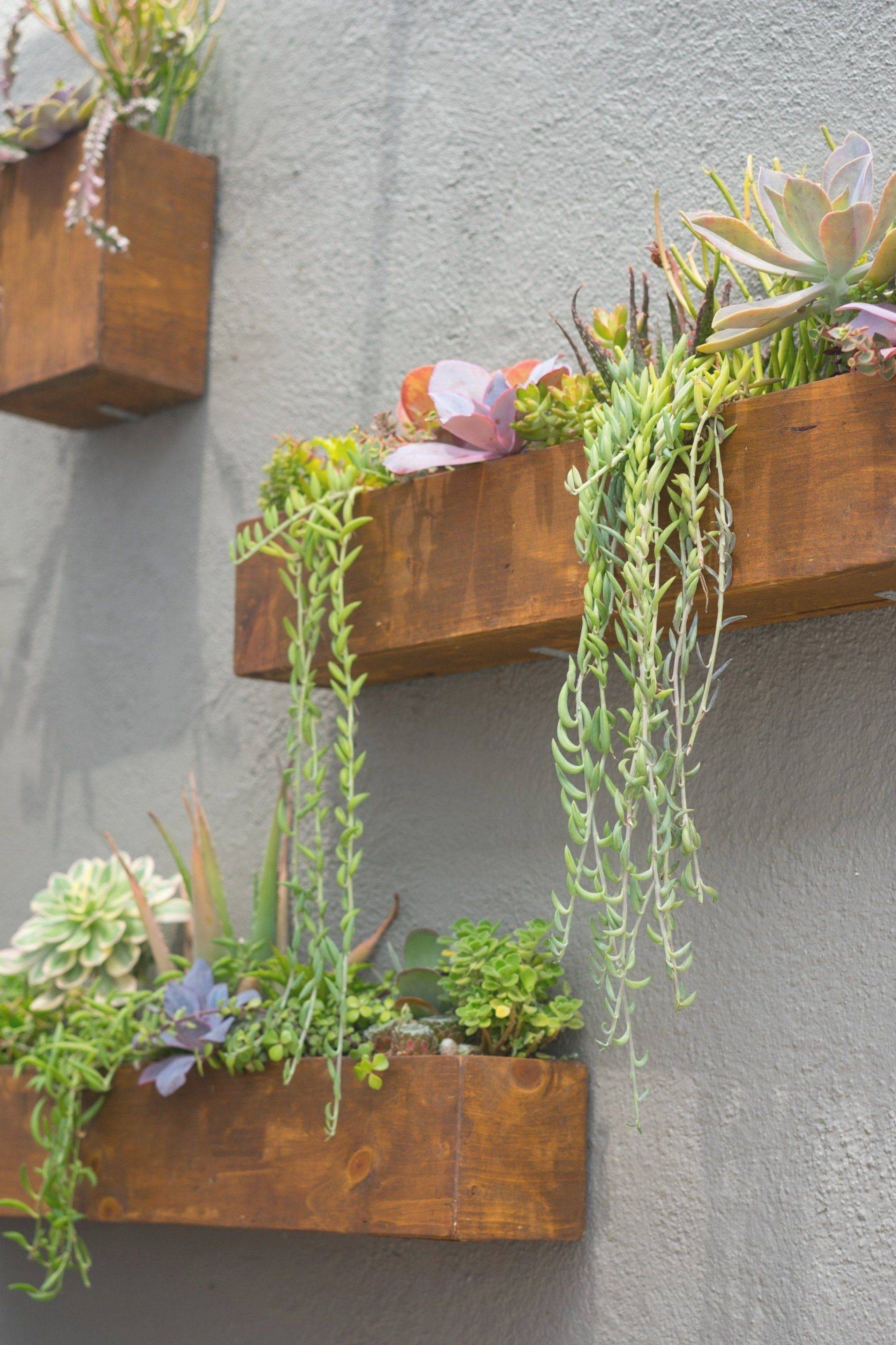 14 Succulent Wall Garden Ideas You Must Look | SharonSable