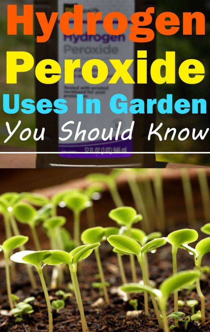 24 Hydrogen Peroxide In The Garden Ideas You Gonna Love | SharonSable