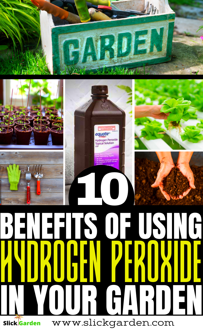 24 Hydrogen Peroxide In The Garden Ideas You Gonna Love | SharonSable