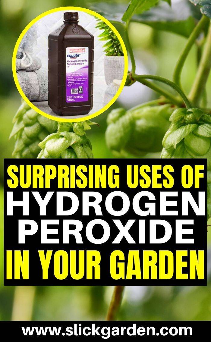 23 Hydrogen Peroxide Use In The Garden Ideas Worth A Look Sharonsable 7596