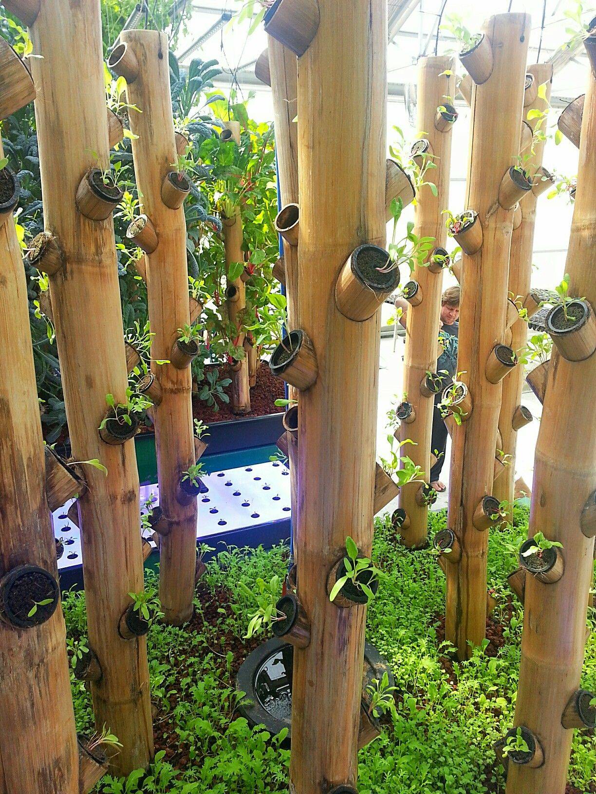 Bamboo Vertical Garden Planter Ideas You Cannot Miss Sharonsable