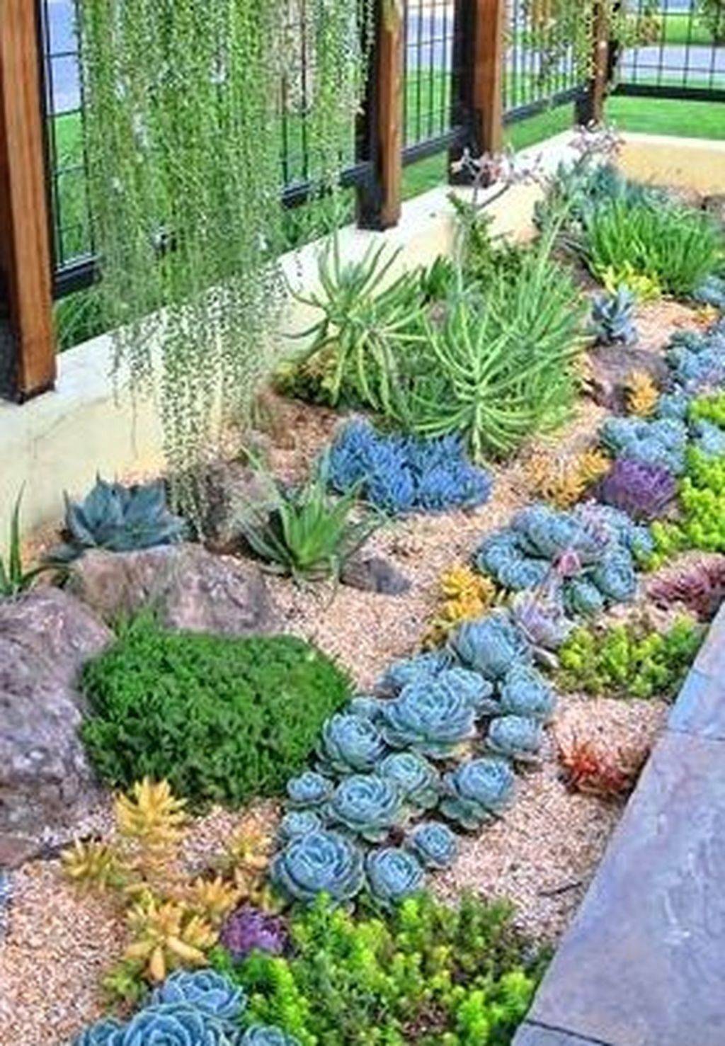 21 Succulent Rock Garden Design Ideas Worth a Look | SharonSable