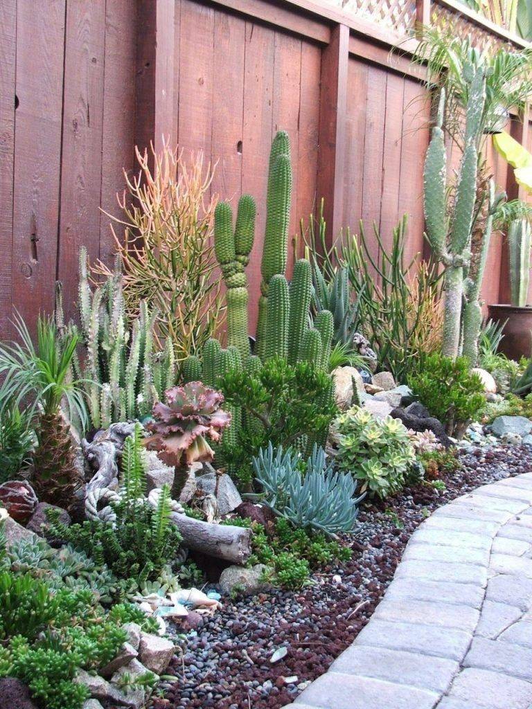 22 Desert Succulent Garden Ideas You Must Look | SharonSable