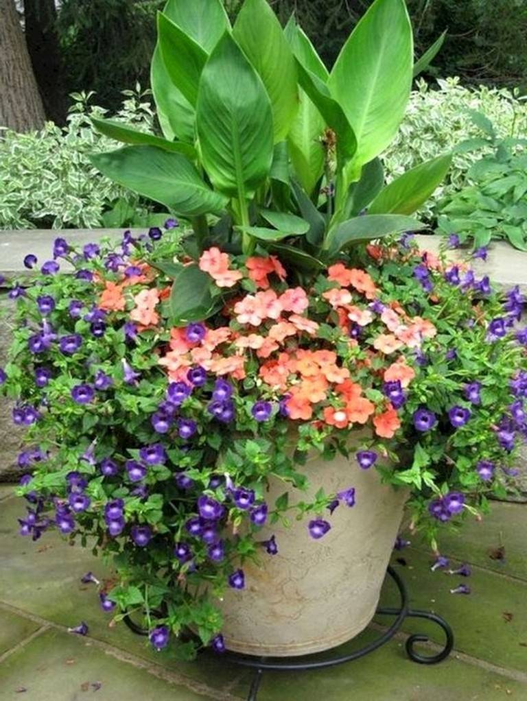 Container Gardening Ideas For Summer Worth A Look Sharonsable