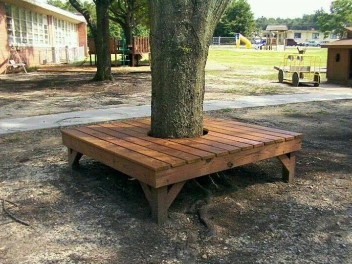 A Tree Trunk Courtyard