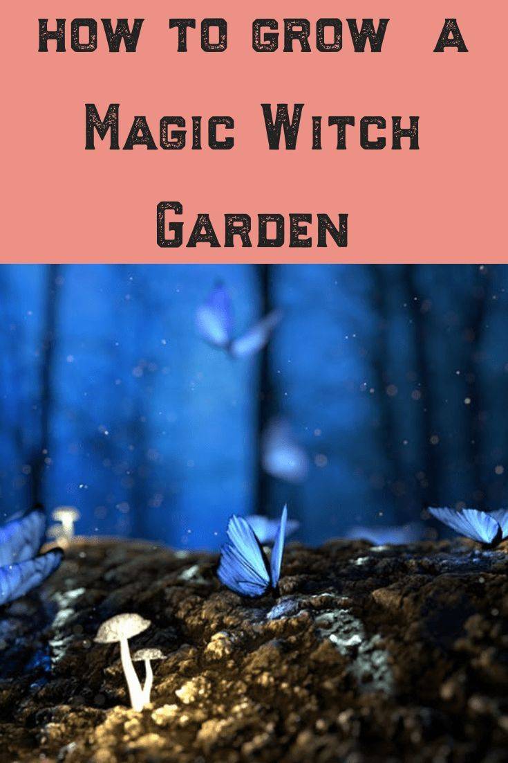 20 Witches Garden Plant List Ideas You Should Check Sharonsable 5691