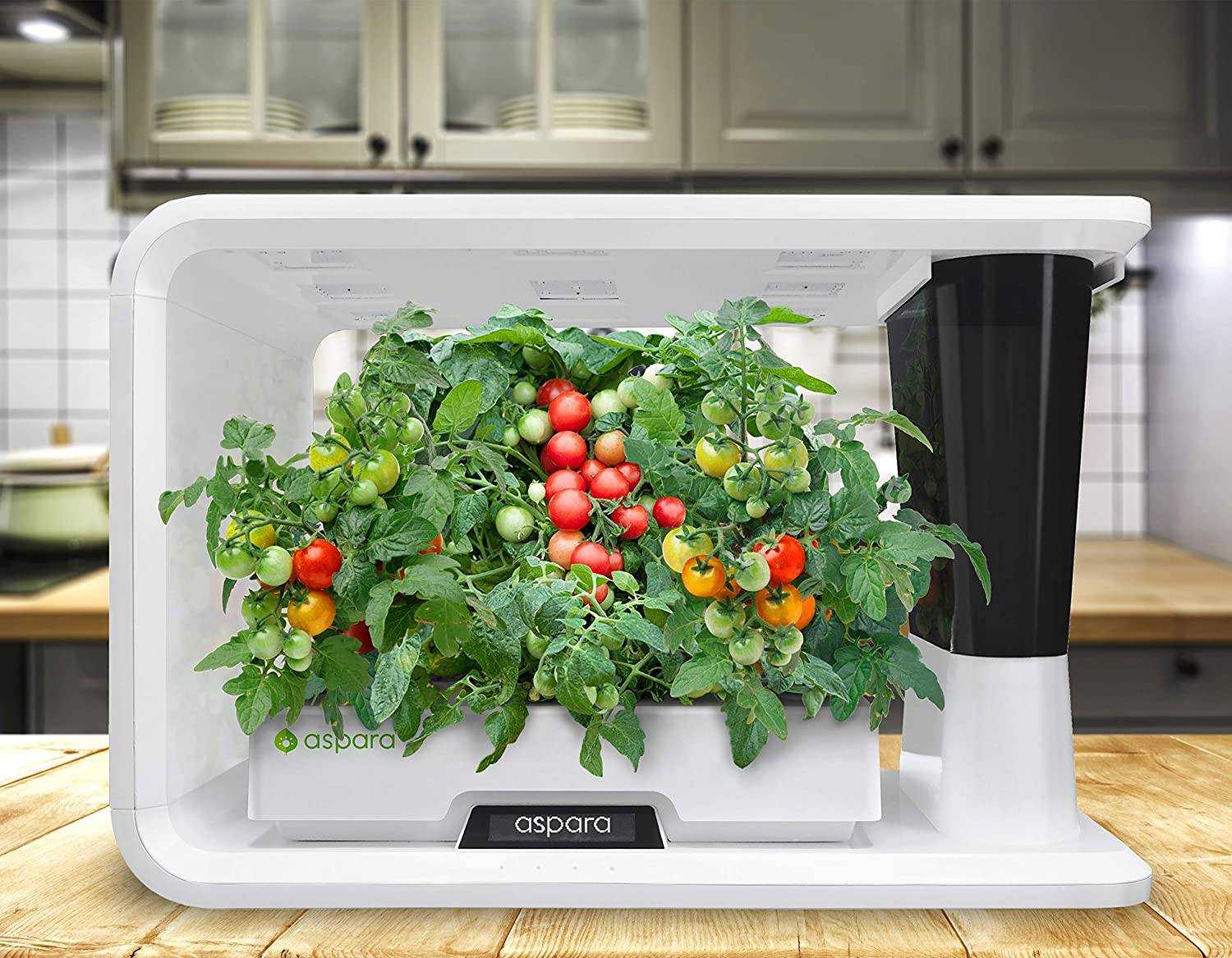 22 Hydroponic Herb Garden Ideas To Try This Year | SharonSable