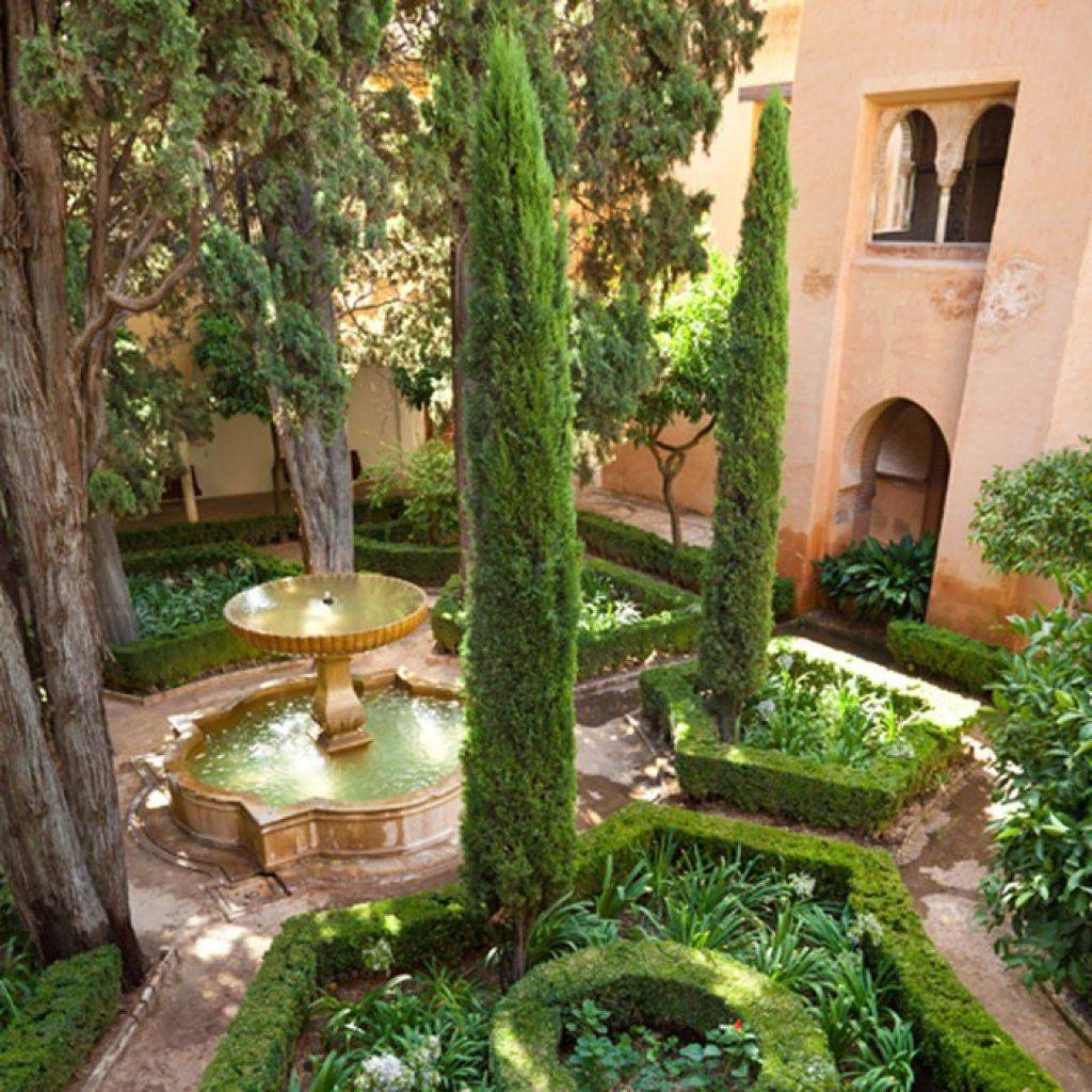 Italian Cypress Trees