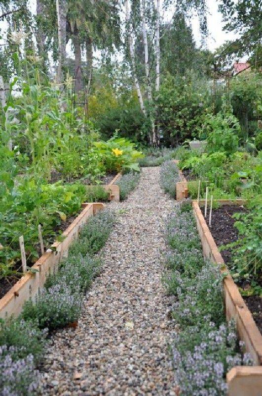 21 Vegetable Garden Borders Ideas To Consider Sharonsable