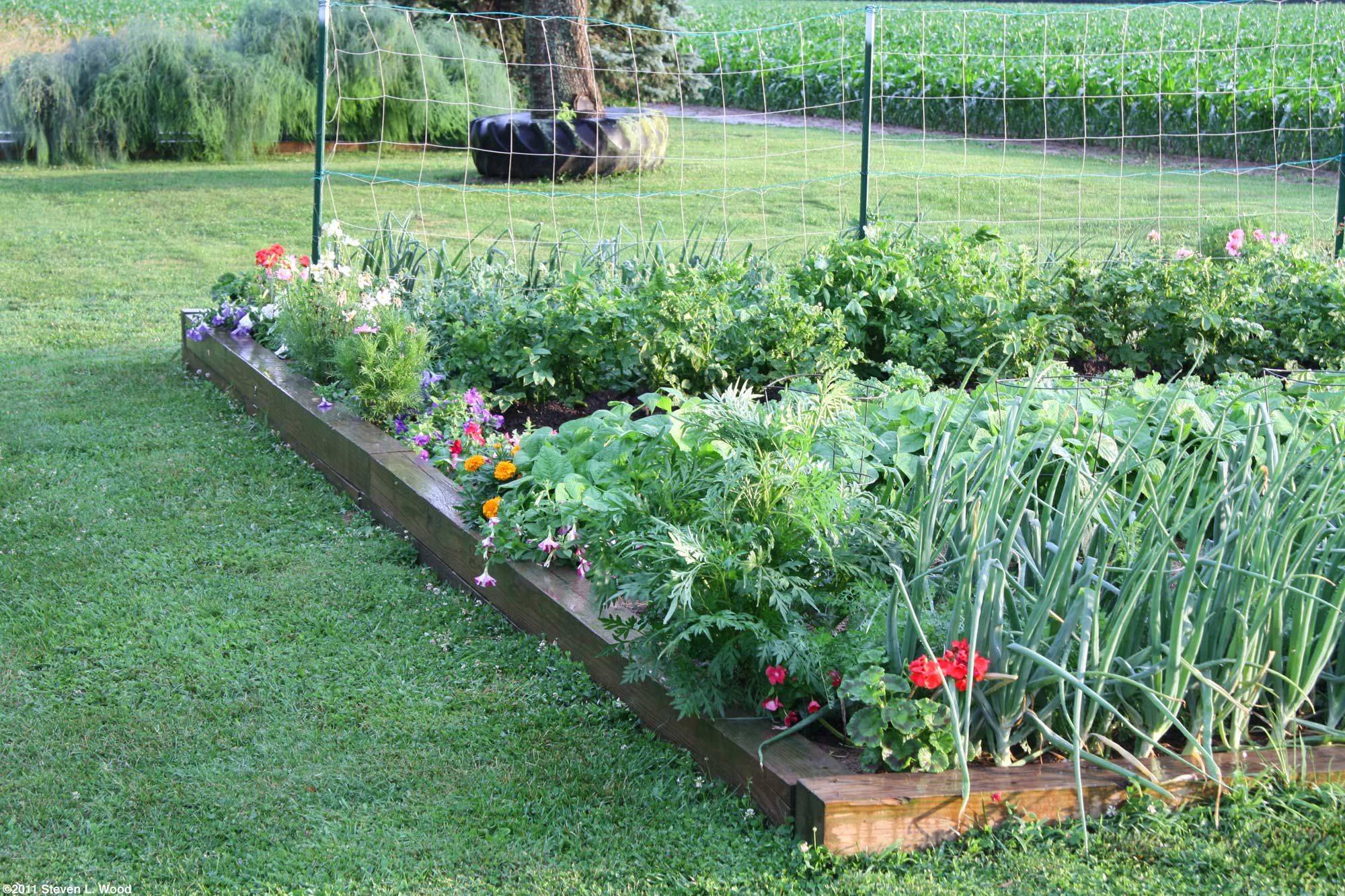 21 Vegetable Garden Borders Ideas To Consider | SharonSable