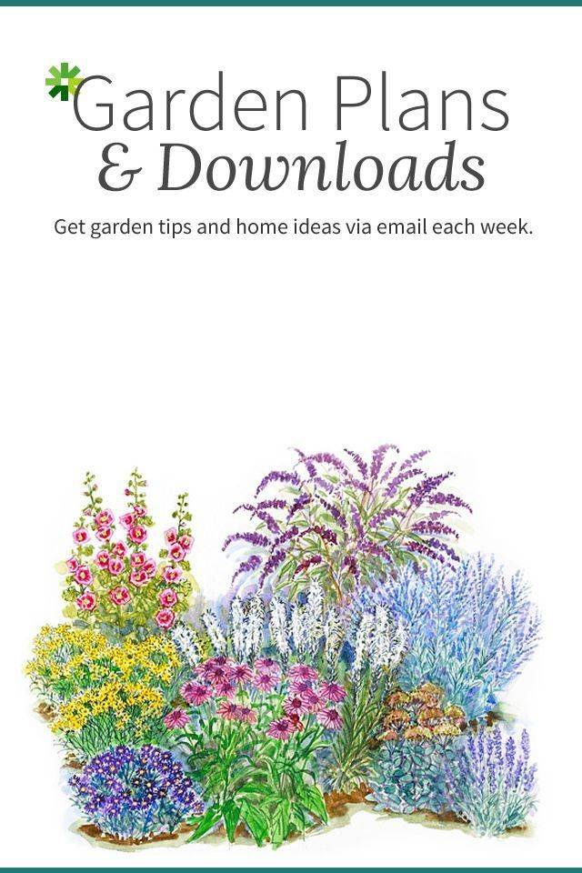 22 Free Perennial Garden Plans Ideas You Cannot Miss | SharonSable