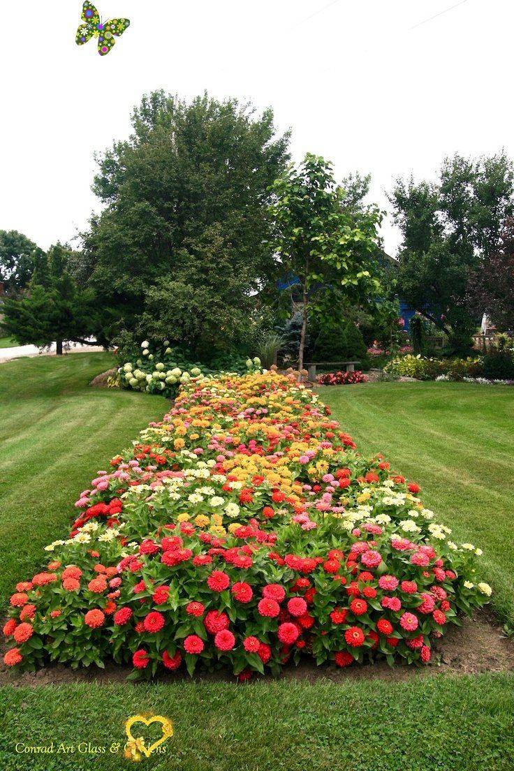 20 Zinnia Garden Design Ideas To Try This Year SharonSable