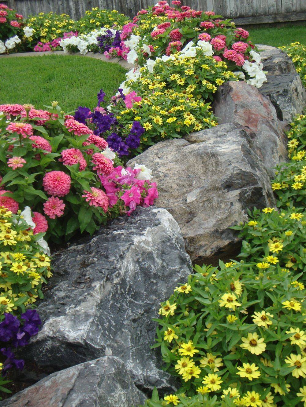 20 Zinnia Garden Design Ideas To Try This Year SharonSable