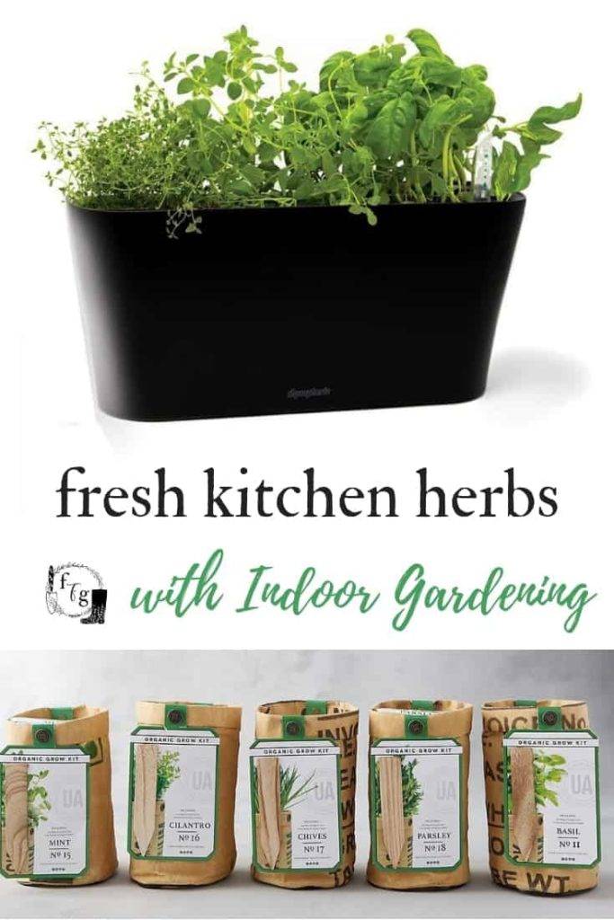 21 Herb Garden Kit Ideas You Cannot Miss | SharonSable