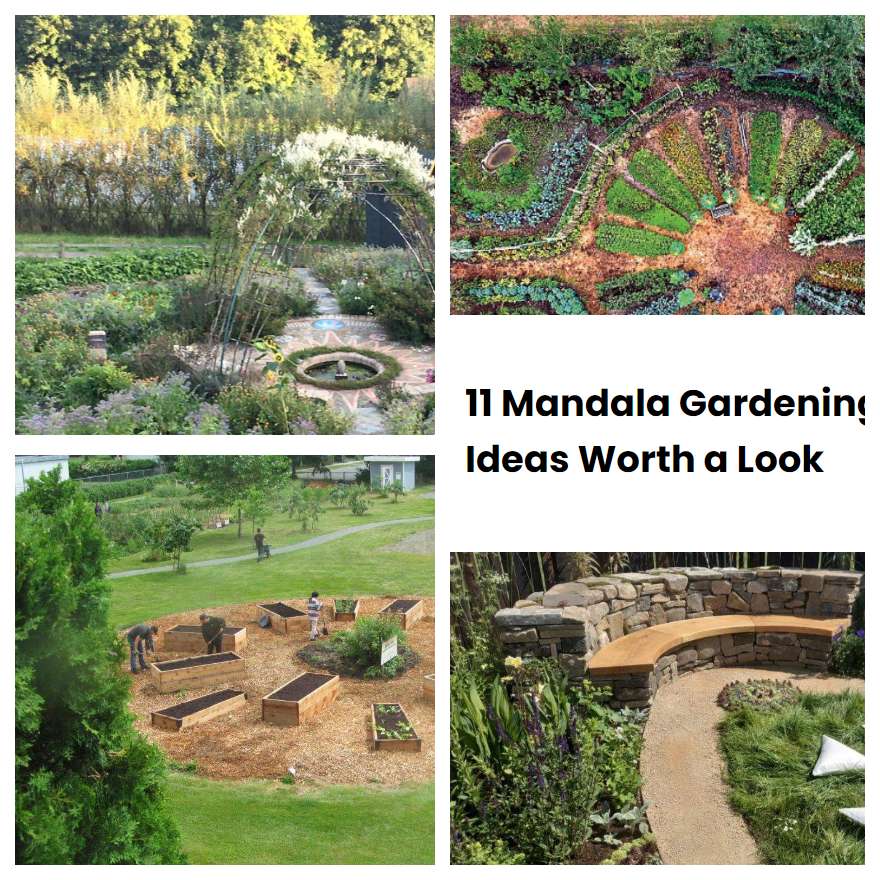 11 Mandala Gardening Ideas Worth a Look | SharonSable