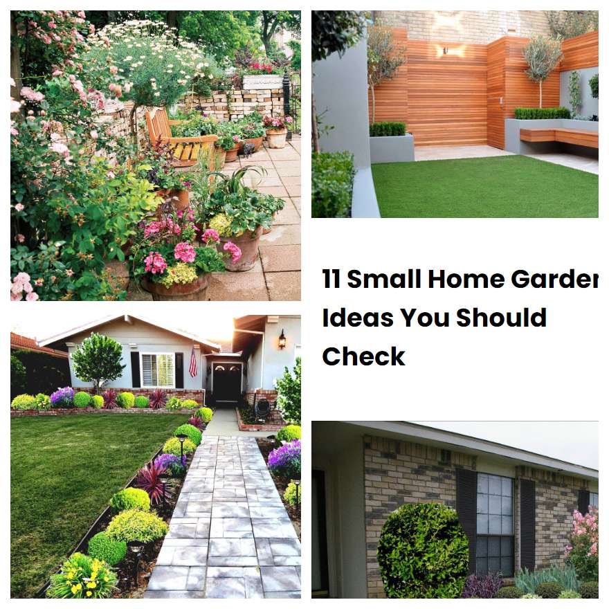 11 Small Home Garden Ideas You Should Check | SharonSable