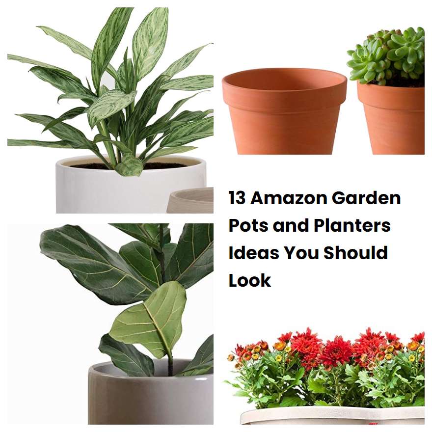 13 Amazon Garden Pots and Planters Ideas You Should Look | SharonSable