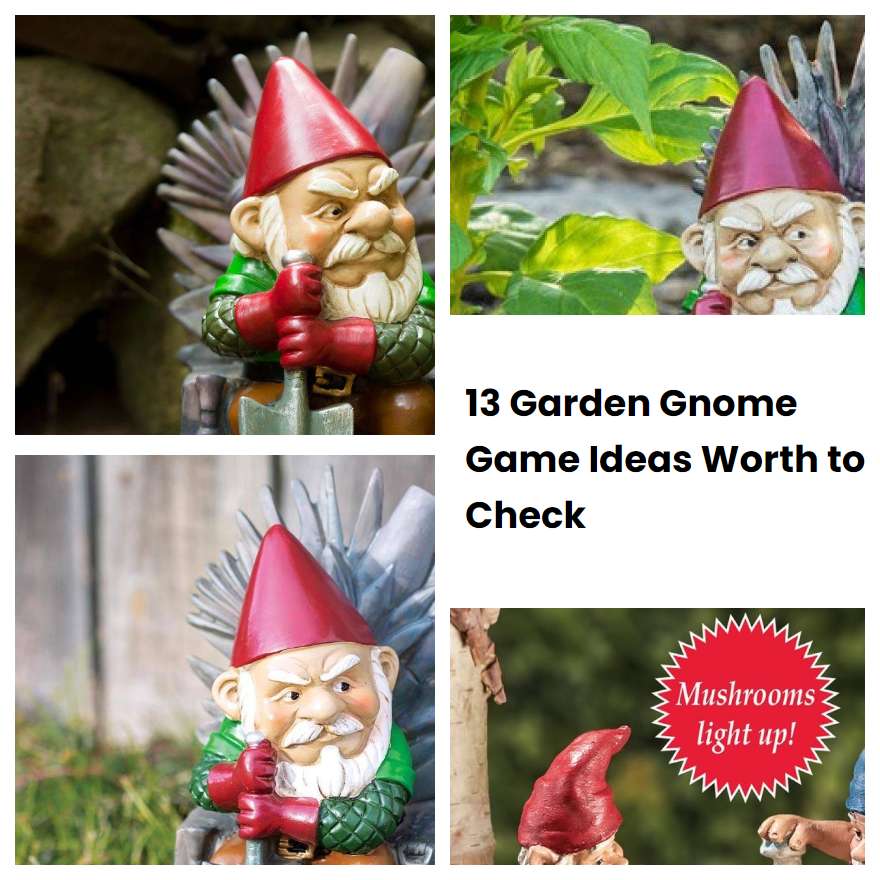 13 Garden Gnome Game Ideas Worth to Check | SharonSable