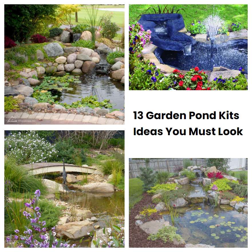 13 Garden Pond Kits Ideas You Must Look | SharonSable