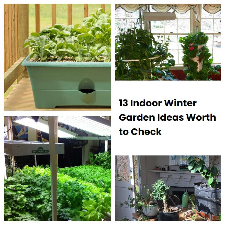 Indoor Winter Garden Ideas Worth To Check Sharonsable