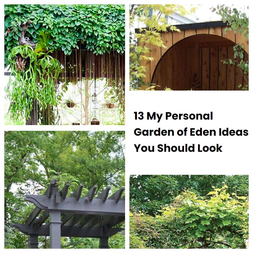 13 My Personal Garden of Eden Ideas You Should Look