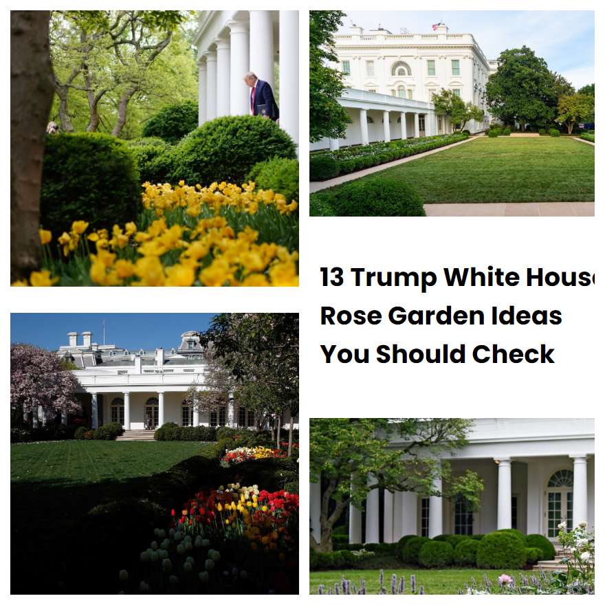 13 Trump White House Rose Garden Ideas You Should Check