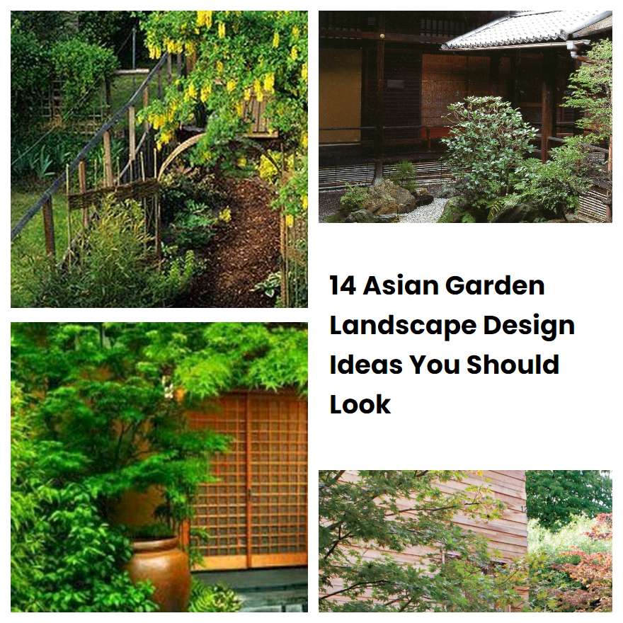 14 Asian Garden Landscape Design Ideas You Should Look