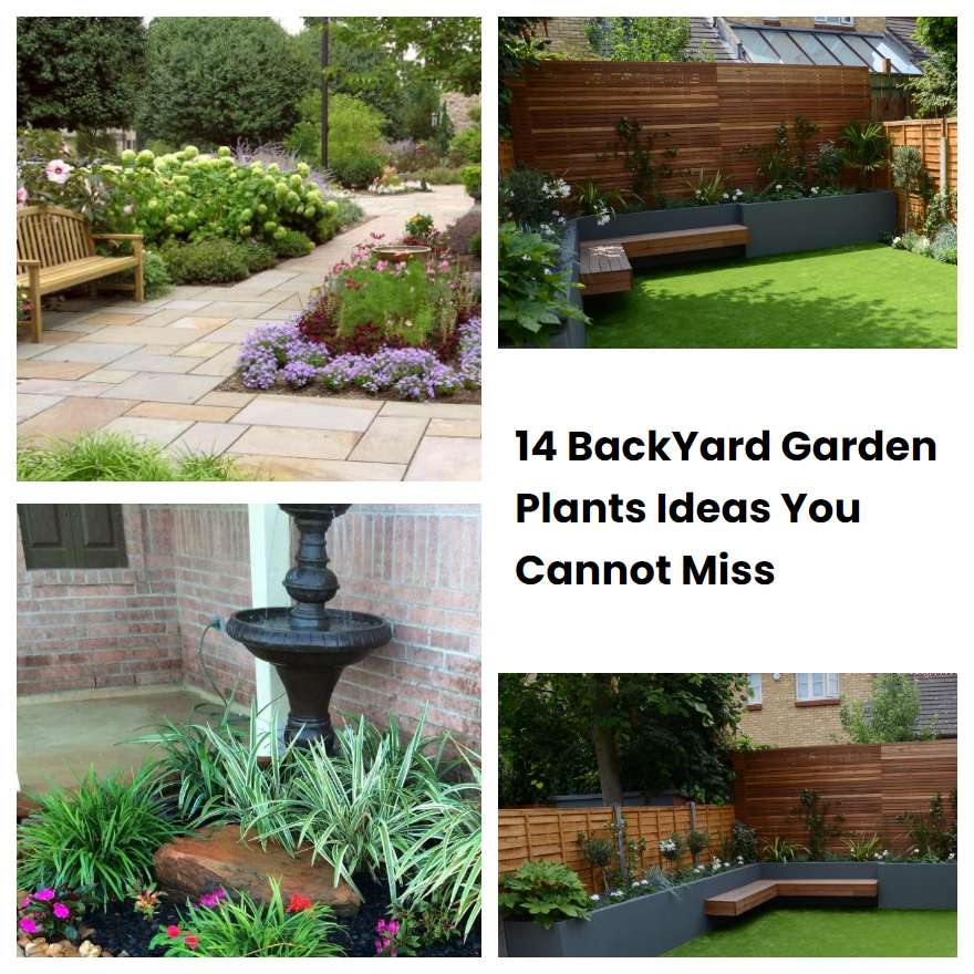 14 Backyard Garden Plants Ideas You Cannot Miss Sharonsable