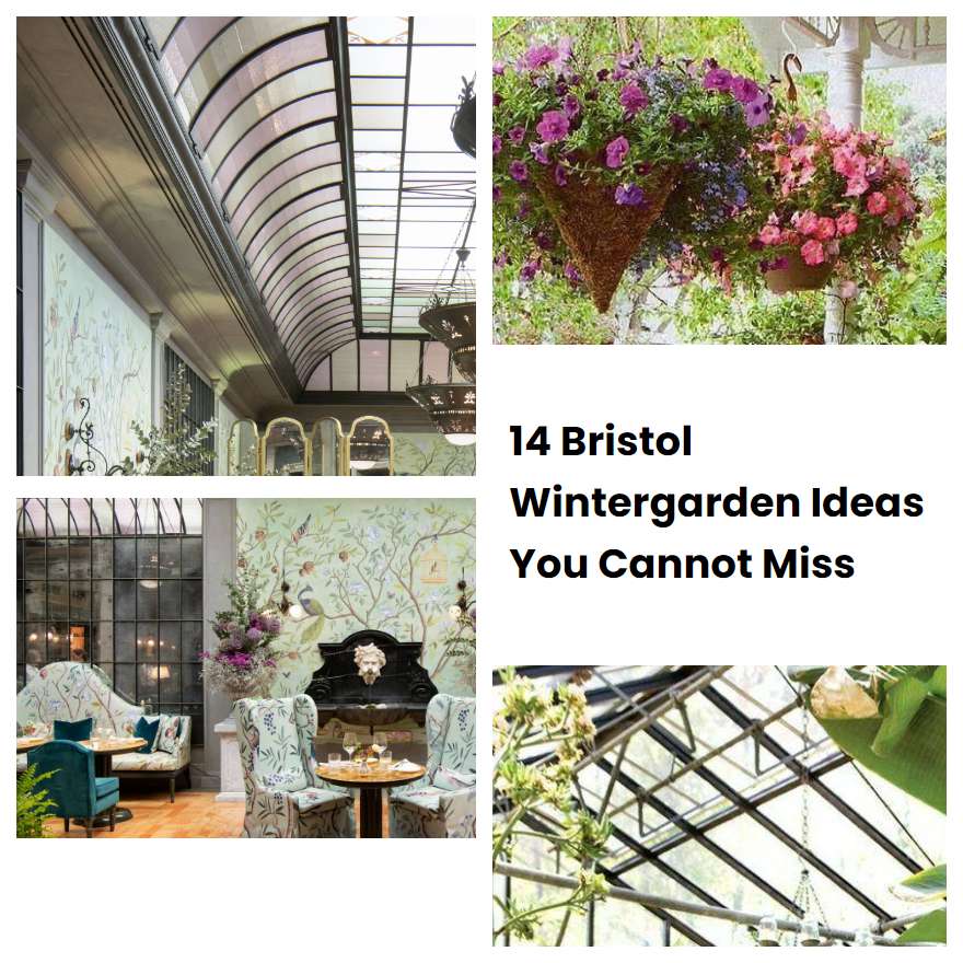 14 Bristol Wintergarden Ideas You Cannot Miss | SharonSable