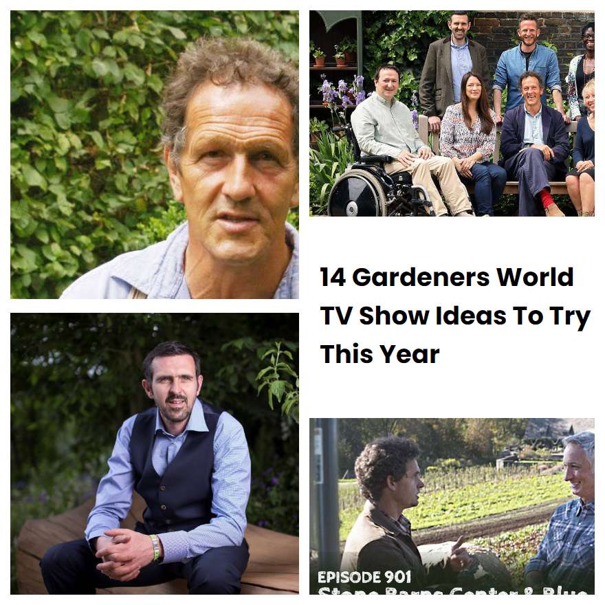 14 Gardeners World TV Show Ideas To Try This Year | SharonSable