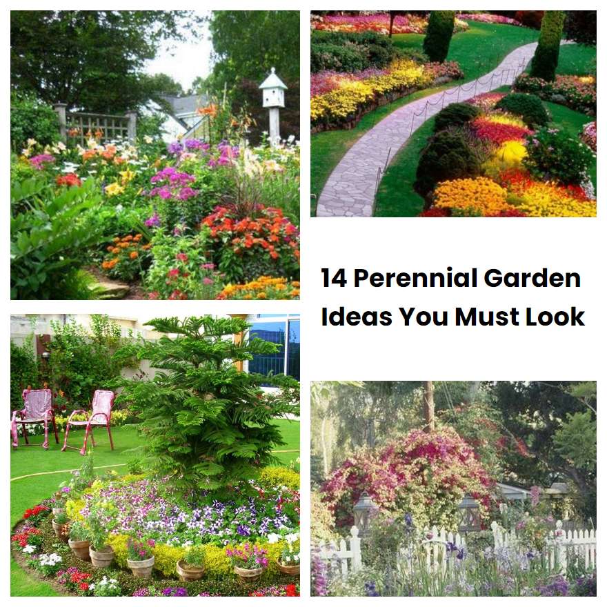 14 Perennial Garden Ideas You Must Look | SharonSable