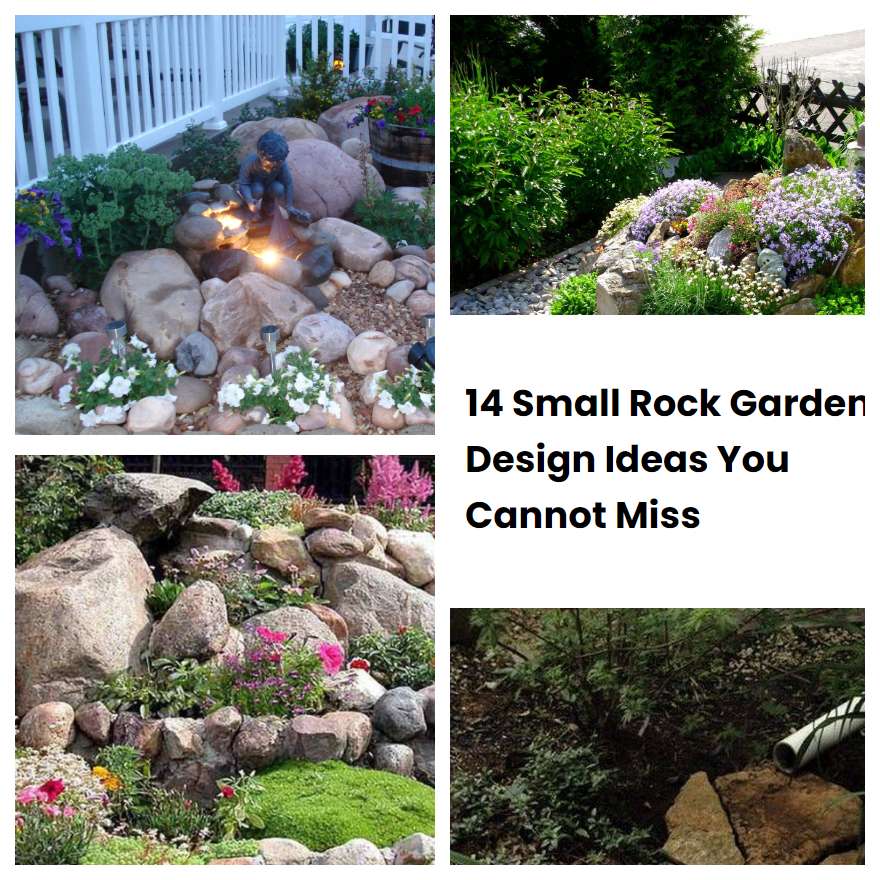 14 Small Rock Garden Design Ideas You Cannot Miss | SharonSable