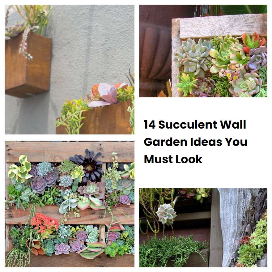 14 Succulent Wall Garden Ideas You Must Look | SharonSable