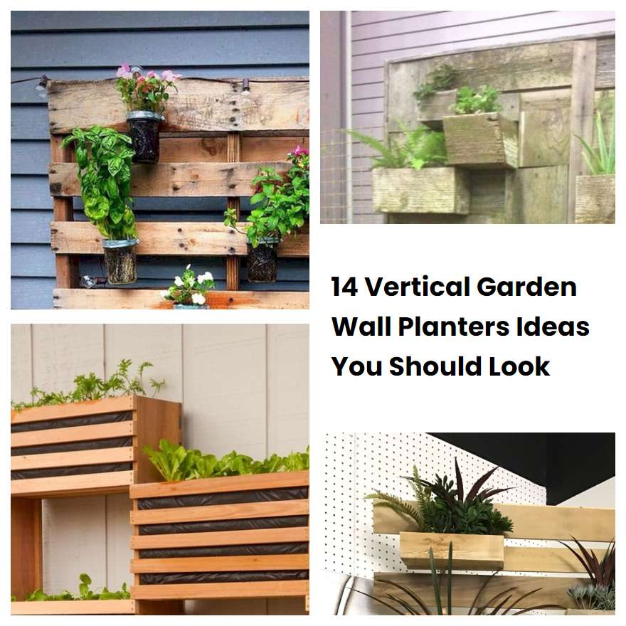 14 Vertical Garden Wall Planters Ideas You Should Look Sharonsable 6000