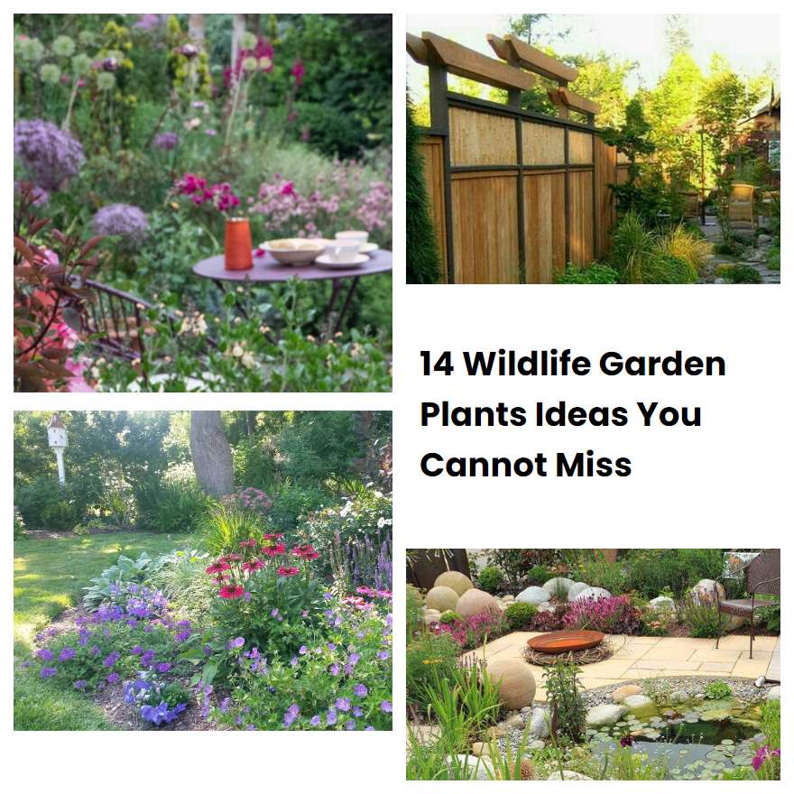 14 Wildlife Garden Plants Ideas You Cannot Miss Sharonsable