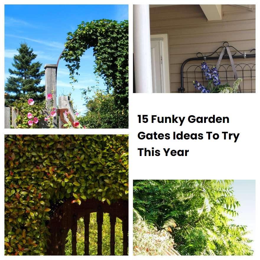 15 Funky Garden Gates Ideas To Try This Year